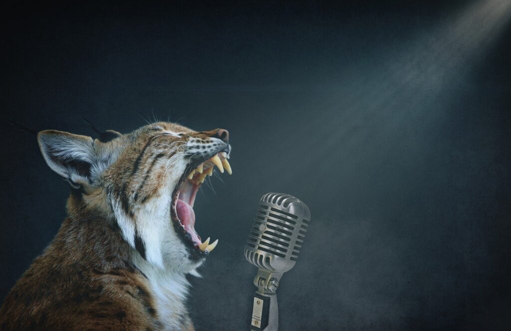 lynx, singer, microphone-4660096.jpg